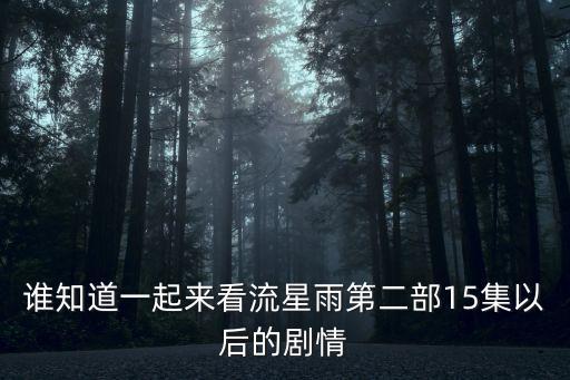 誰知道一起來看流星雨第二部15集以后的劇情