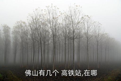佛山有高鐵站嗎,廣州去佛山的地鐵線路