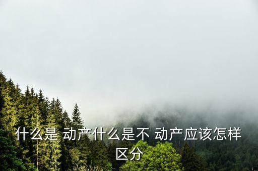 動產(chǎn)和不動產(chǎn)的區(qū)別,如何區(qū)分動產(chǎn)和不動產(chǎn)的區(qū)別