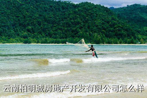 蘇黎明