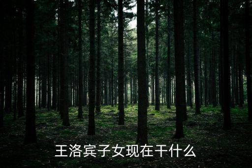 王洛賓子女現(xiàn)在干什么