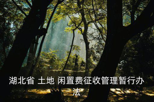 土地閑置費