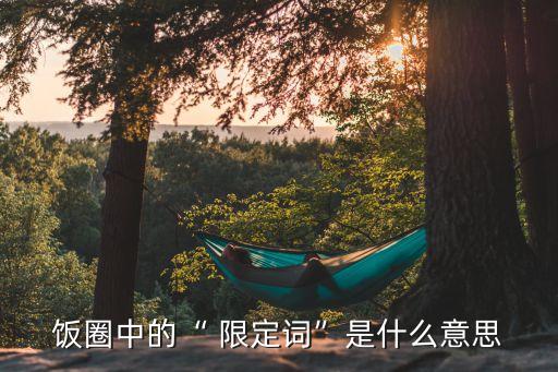 飯圈中的“ 限定詞”是什么意思