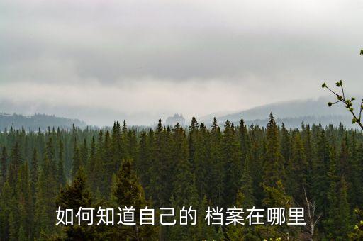 怎么查檔案在哪,12333怎么查檔案在哪