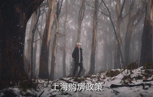 上海首套房認(rèn)定
