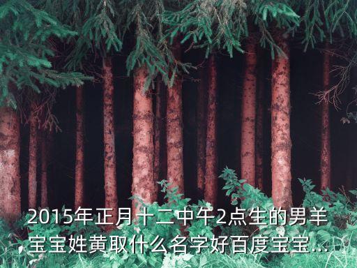 2015年正月十二中午2點生的男羊?qū)殞毿拯S取什么名字好百度寶寶...