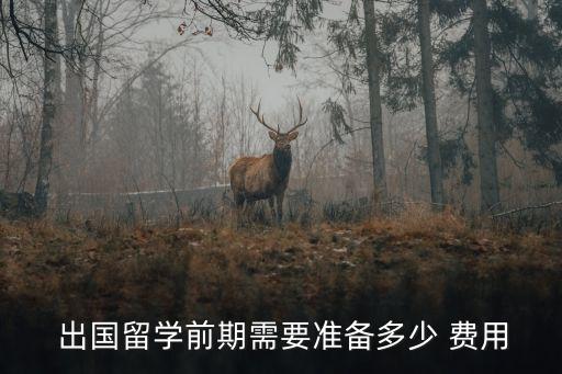 出國費(fèi)用,宏越人力資源有限公司出國費(fèi)用