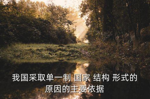 我國(guó)采取單一制 國(guó)家 結(jié)構(gòu) 形式的原因的主要依據(jù)
