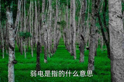 什么是弱電,家用電什么是強(qiáng)電什么是弱電