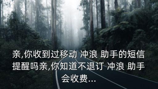 沖浪助手,中國移動增值業(yè)務沖浪助手