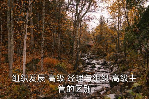 高級(jí)經(jīng)理