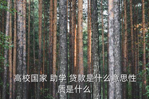  高校國(guó)家 助學(xué) 貸款是什么意思性質(zhì)是什么