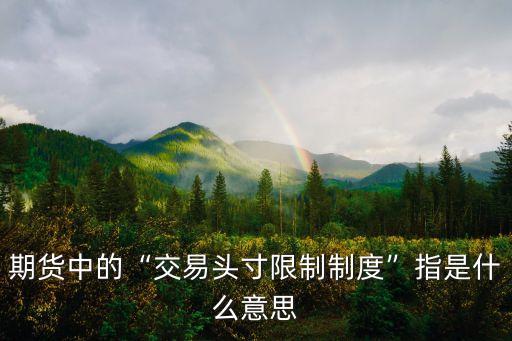 期貨中的“交易頭寸限制制度”指是什么意思