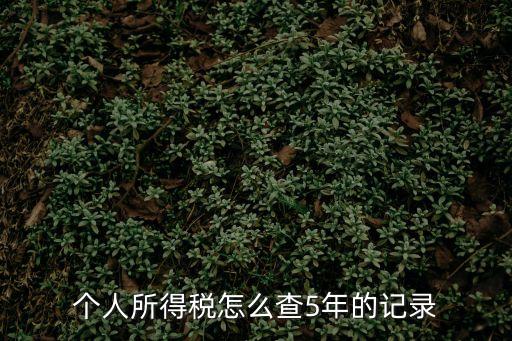 個人所得稅怎么查5年的記錄