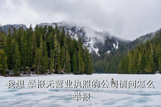 我想 舉報無營業(yè)執(zhí)照的公司請問怎么 舉報