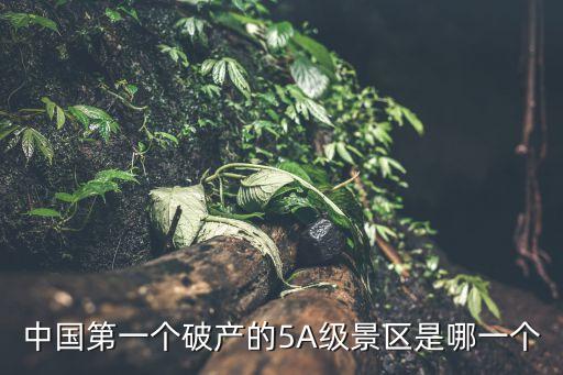 中國(guó)第一個(gè)破產(chǎn)的5A級(jí)景區(qū)是哪一個(gè)