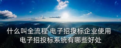 電子招標(biāo)