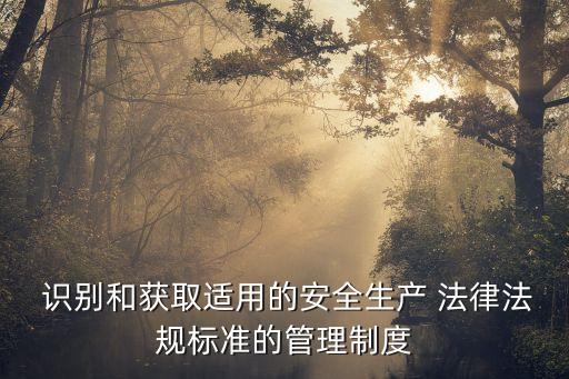  識(shí)別和獲取適用的安全生產(chǎn) 法律法規(guī)標(biāo)準(zhǔn)的管理制度