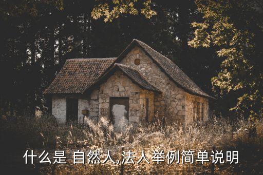 什么是自然人