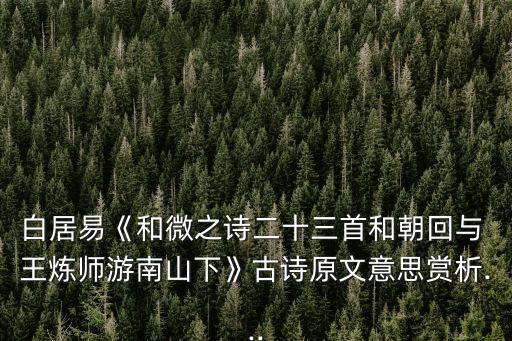 白居易《和微之詩(shī)二十三首和朝回與 王煉師游南山下》古詩(shī)原文意思賞析...