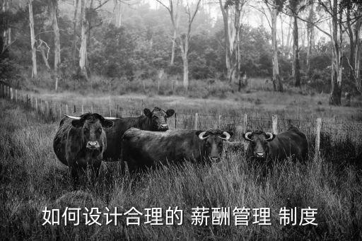 薪酬制度