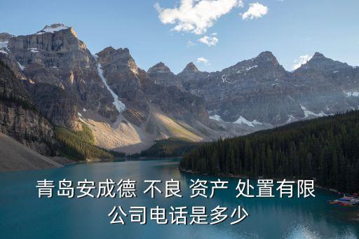 不良資產(chǎn)處置公司,深圳不良資產(chǎn)處置公司