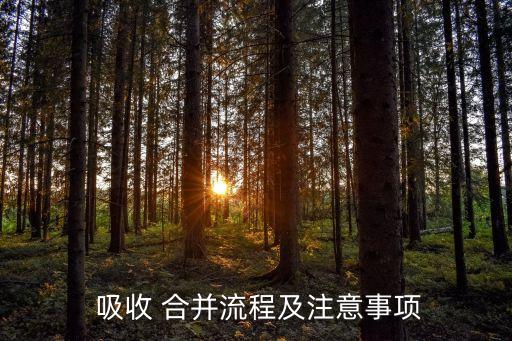 吸收合并