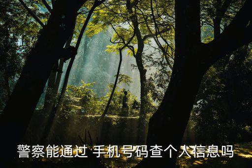 警察能通過(guò) 手機(jī)號(hào)碼查個(gè)人信息嗎