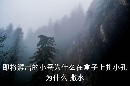 撒水和灑水哪個對,灑水的灑是哪個撒
