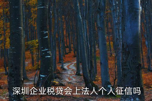 深圳公司貸款