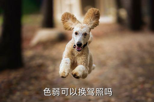  色弱可以換駕照嗎
