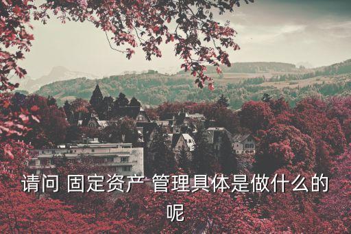 請問 固定資產(chǎn) 管理具體是做什么的呢