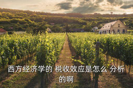 稅收分析