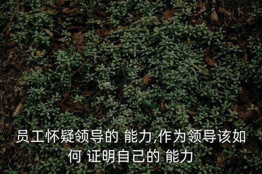 證明能力,證據(jù)的內(nèi)容是證據(jù)本身內(nèi)在具有的證明能力