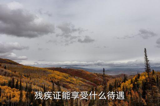 殘疾人福利