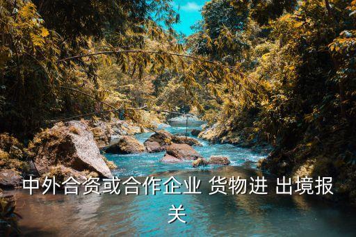 進(jìn)出境貨物,金融業(yè)審慎監(jiān)管措施、進(jìn)出境貨物