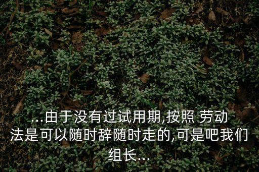 深圳勞動(dòng)法辭職規(guī)定,深圳市勞動(dòng)法辭退賠償規(guī)定