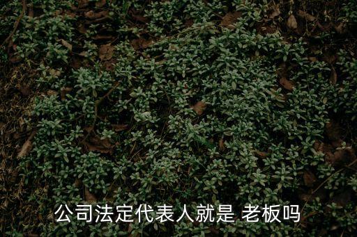 公司法定代表人就是 老板嗎