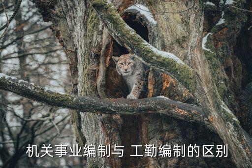  機關(guān)事業(yè)編制與 工勤編制的區(qū)別