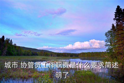 城管協(xié)管員