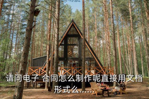 請問電子 合同怎么制作呢直接用文檔形式么……