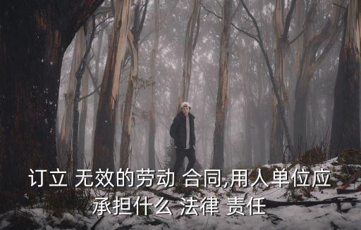 訂立 無效的勞動 合同,用人單位應承擔什么 法律 責任