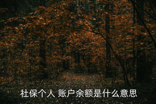  社保個人 賬戶余額是什么意思