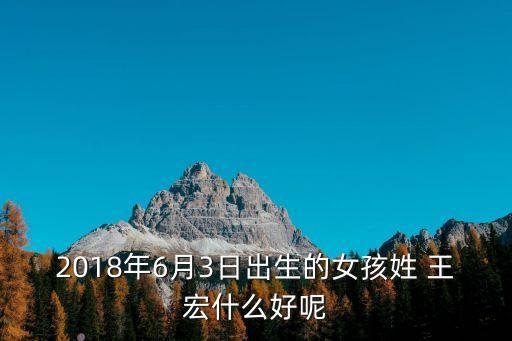 2018年6月3日出生的女孩姓 王宏什么好呢