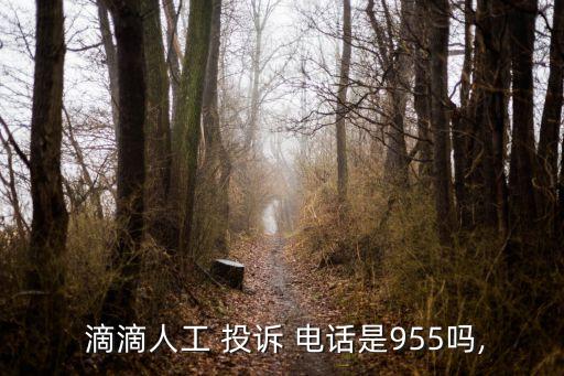  滴滴人工 投訴 電話是955嗎,