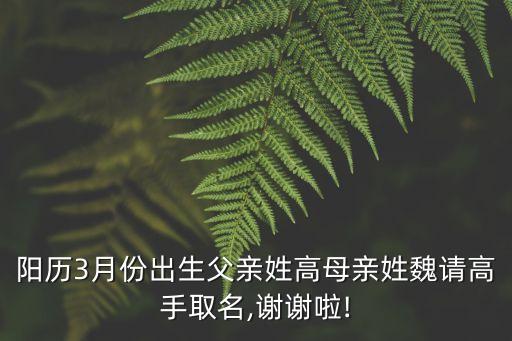 高志新