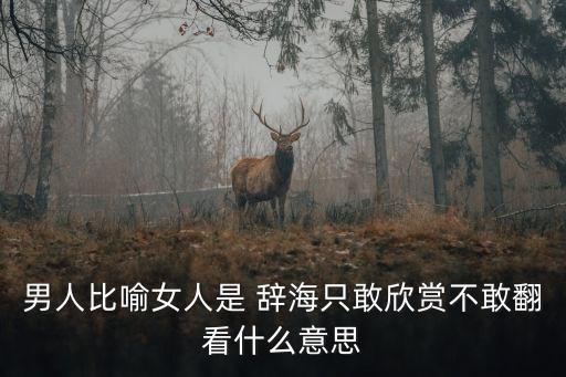 男人比喻女人是 辭海只敢欣賞不敢翻看什么意思
