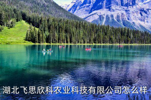 湖北飛思欣科農(nóng)業(yè)科技有限公司怎么樣