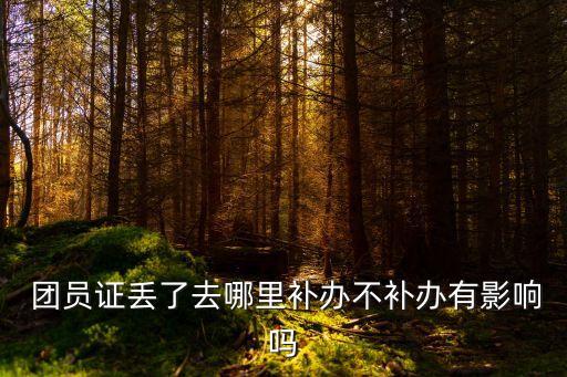  團員證丟了去哪里補辦不補辦有影響嗎