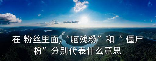 在 粉絲里面,“腦殘粉”和“ 僵尸粉”分別代表什么意思